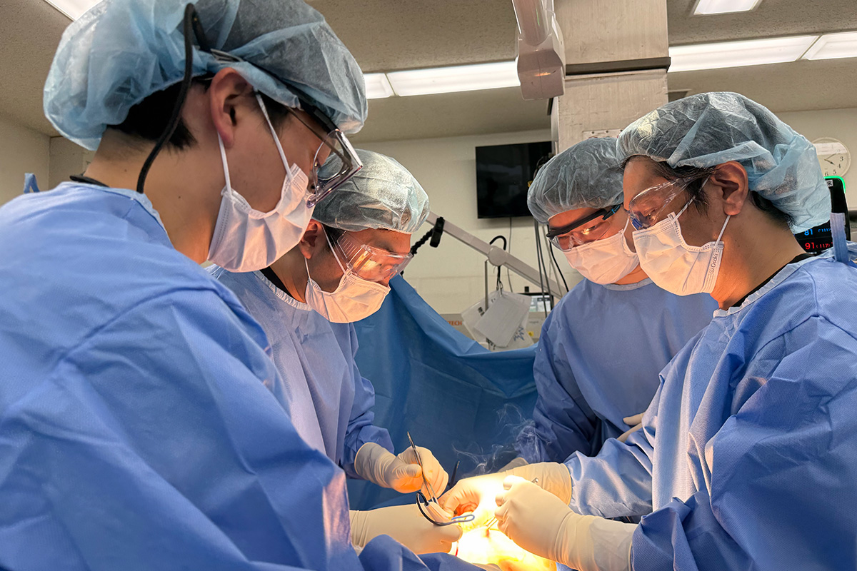 Acute Care Surgery(ACS)チーム | センターの一日